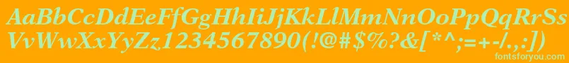 NewasterltstdBoldit Font – Green Fonts on Orange Background