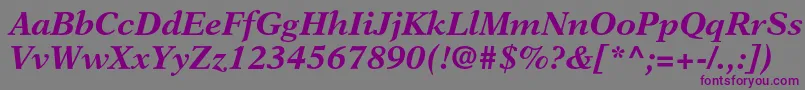 NewasterltstdBoldit Font – Purple Fonts on Gray Background