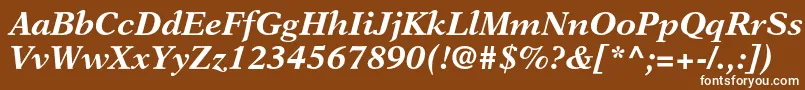 NewasterltstdBoldit Font – White Fonts on Brown Background