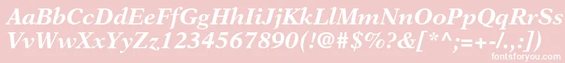 NewasterltstdBoldit Font – White Fonts on Pink Background