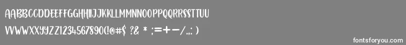 フォントBOUSTOWN SANS – 灰色の背景に白い文字