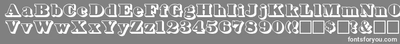 フォントBOWSHADW – 灰色の背景に白い文字