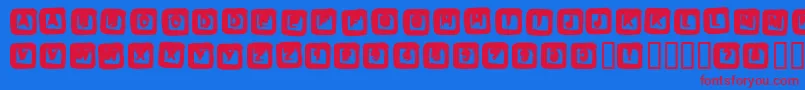 Fonte BOX – fontes vermelhas em um fundo azul