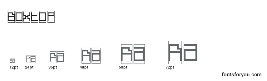 Boxtop   (121979) Font Sizes