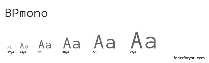 BPmono (121980) Font Sizes