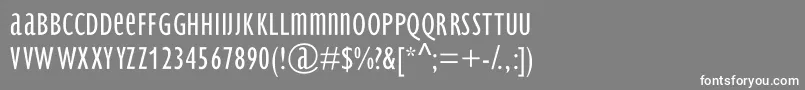 BradburySans Light Font – White Fonts on Gray Background
