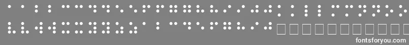 フォントBRAILLE – 灰色の背景に白い文字