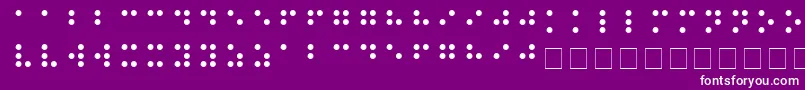 BRAILLE Font – White Fonts on Purple Background