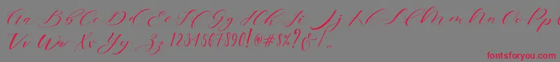 Brainlove Dafont Font – Red Fonts on Gray Background