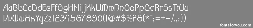 Wanda Font – White Fonts on Gray Background
