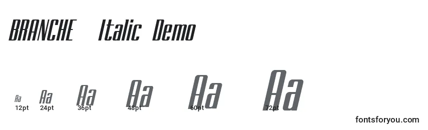BRANCHEМЃ Italic Demo Font Sizes