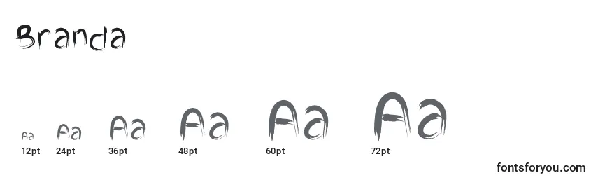 Branda Font Sizes
