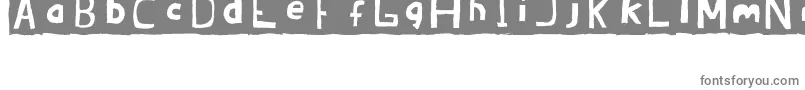 BRANDON  erc july 2008-Schriftart – Graue Schriften auf weißem Hintergrund