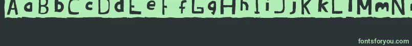 BRANDON  erc july 2008 Font – Green Fonts on Black Background