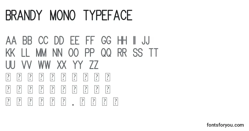 Czcionka Brandy mono typeface – alfabet, cyfry, specjalne znaki