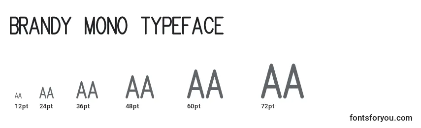 Rozmiary czcionki Brandy mono typeface