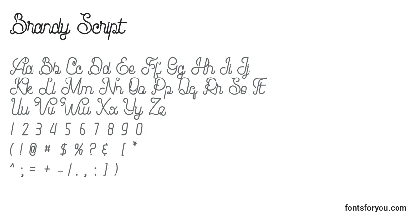 A fonte Brandy Script – alfabeto, números, caracteres especiais