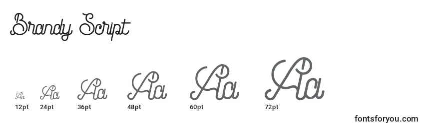 Brandy Script Font Sizes