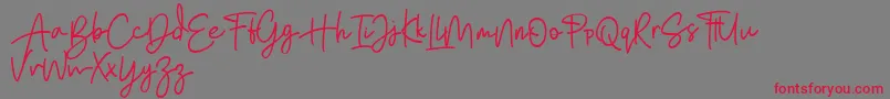 Bratarini FREE Font – Red Fonts on Gray Background