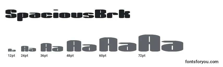 SpaciousBrk Font Sizes