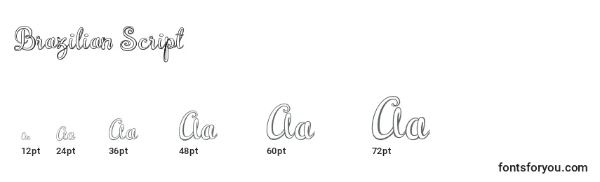 Brazilian Script (122038) Font Sizes