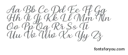 Briany Font Regular Italic by Andrian 7NTypes -fontin tarkastelu