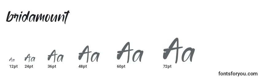Bridamount Font Sizes
