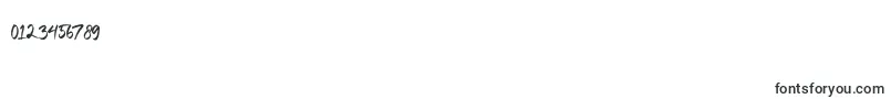 Bridgestorm Font – Fonts for Numbers and Digits