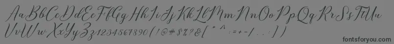 Bridget Script-Schriftart – Schwarze Schriften auf grauem Hintergrund