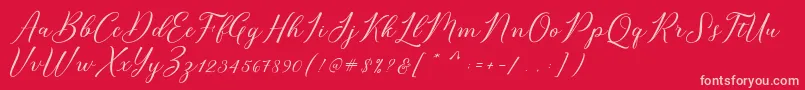 Bridget Script Font – Pink Fonts on Red Background