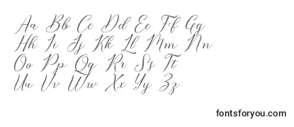 Обзор шрифта Bridget Script