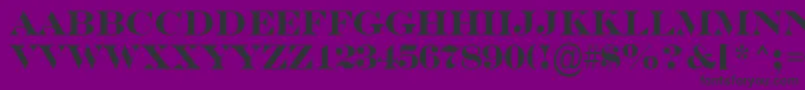 フォントASerifertitulBold – 紫の背景に黒い文字