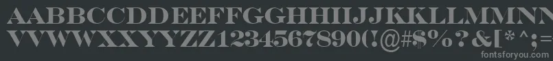 フォントASerifertitulBold – 黒い背景に灰色の文字