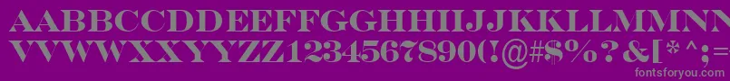 フォントASerifertitulBold – 紫の背景に灰色の文字