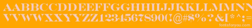 ASerifertitulBold Font – Pink Fonts on Orange Background