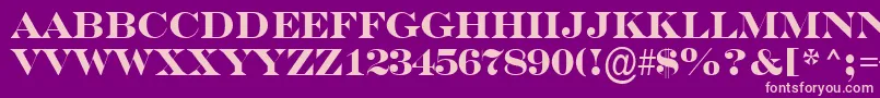ASerifertitulBold Font – Pink Fonts on Purple Background
