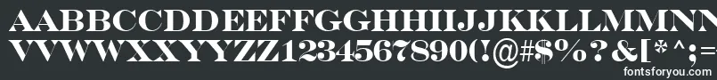 フォントASerifertitulBold – 黒い背景に白い文字