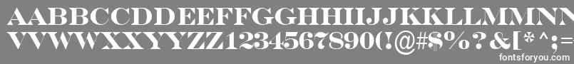 フォントASerifertitulBold – 灰色の背景に白い文字