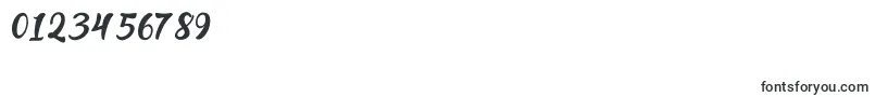 BrigestScript Font – Fonts for Numbers and Digits