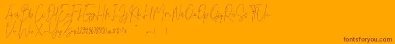 Bright Salkiy Font – Brown Fonts on Orange Background