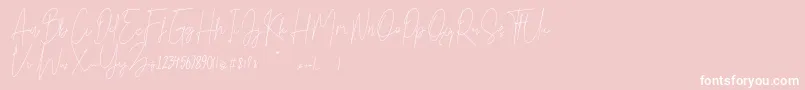 Bright Salkiy-Schriftart – Weiße Schriften auf rosa Hintergrund