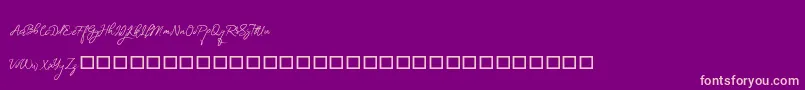 BrightnesSignature Font – Pink Fonts on Purple Background