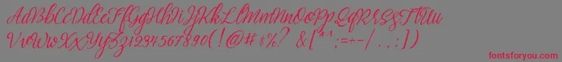 brightside typeface free demo Font – Red Fonts on Gray Background