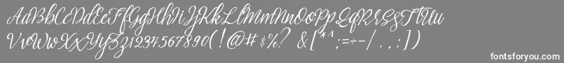 brightside typeface free demo Font – White Fonts on Gray Background