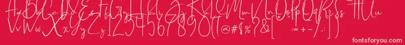 Brilliant signature  regular Font – Pink Fonts on Red Background