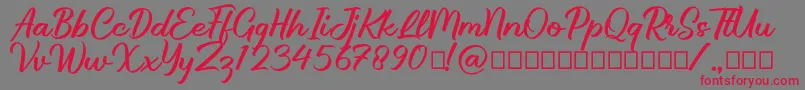 Brillotus Font – Red Fonts on Gray Background