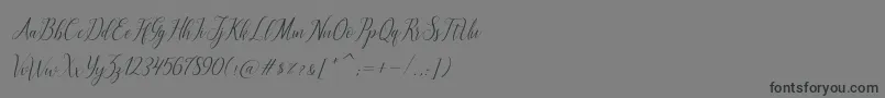 フォントbrillyo  reguler – 黒い文字の灰色の背景