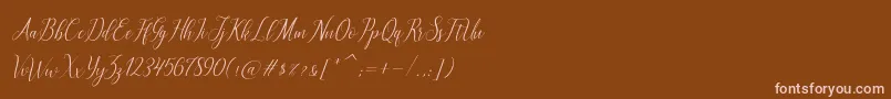 Шрифт brillyo  reguler – розовые шрифты на коричневом фоне