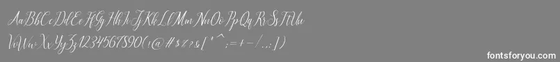 フォントbrillyo  reguler – 灰色の背景に白い文字