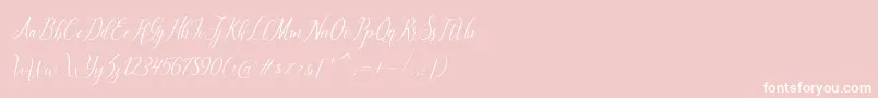 フォントbrillyo  reguler – ピンクの背景に白い文字